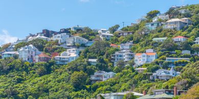 Traditional residential houses at Mount Victoria in Wellington, New Zealand